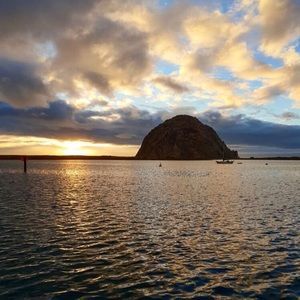 Meet your Posher, Avigayil